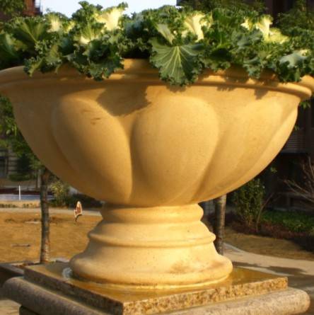 中鐵(tiě)國(guó)際花(huā)缽